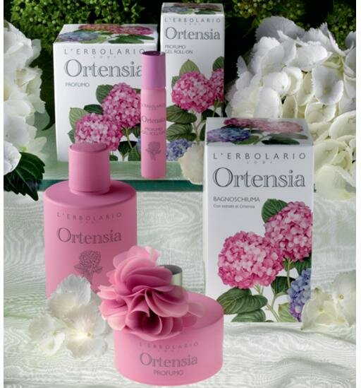 2_Ortensia_collection