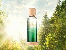 2_Victorinox Swiss Army_Mystique Forest_mini poster