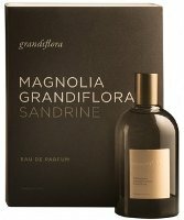 1_Magnolia Grandiflora Sandrine